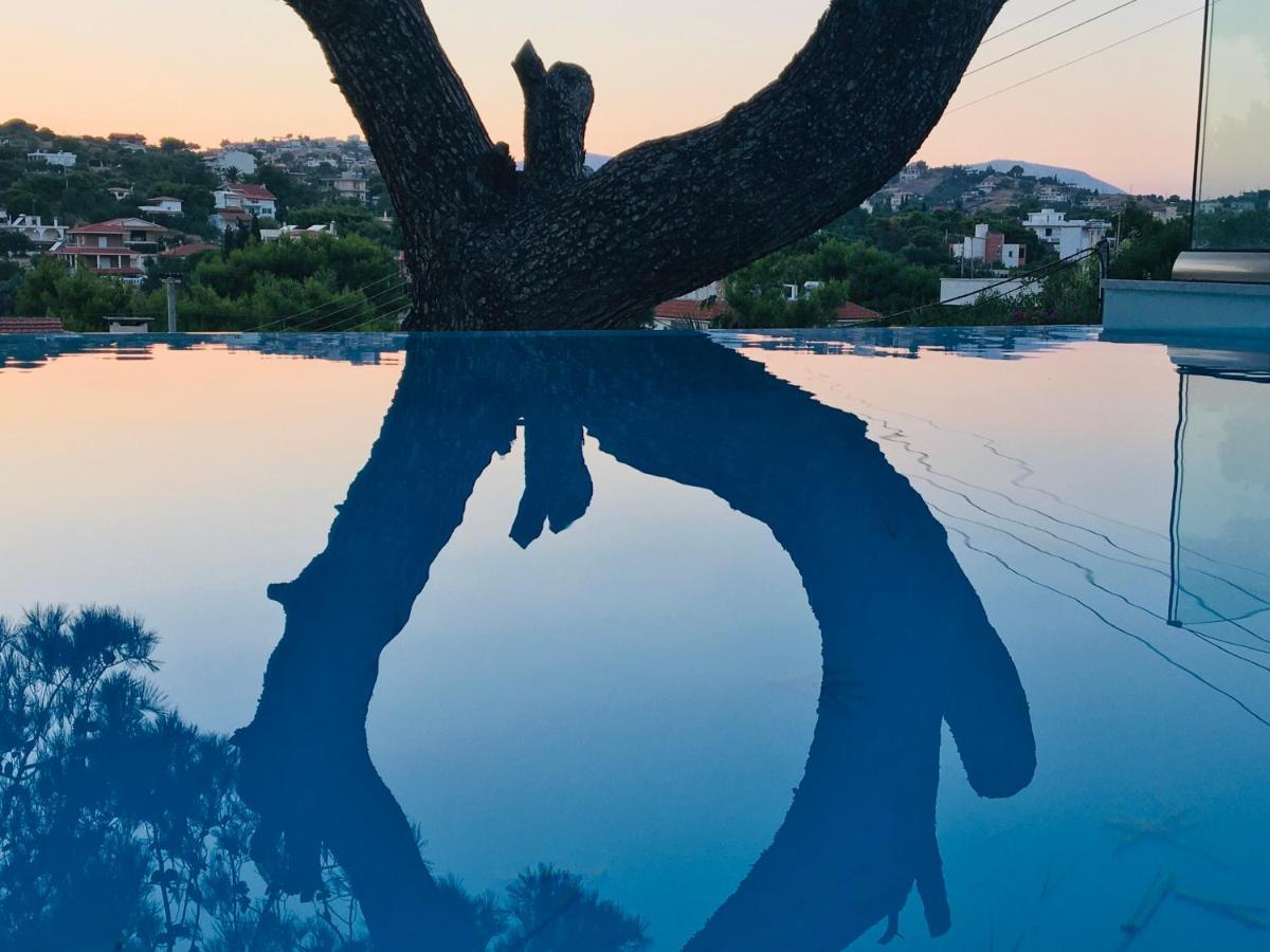 Villa Tranquility Λαγονήσι Εξωτερικό φωτογραφία